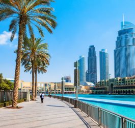 Oază în deșert: aventură în Dubai, Emiratele Arabe Unite
