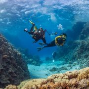 Paradisurile subacvatice: Snorkeling în Caraibe