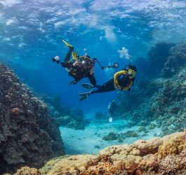 Paradisurile subacvatice: Snorkeling în Caraibe