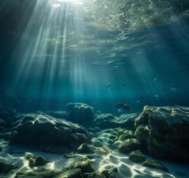 Secretele adâncurilor oceanice